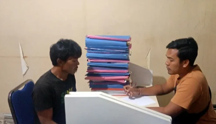 Pelaku pencurian gabah