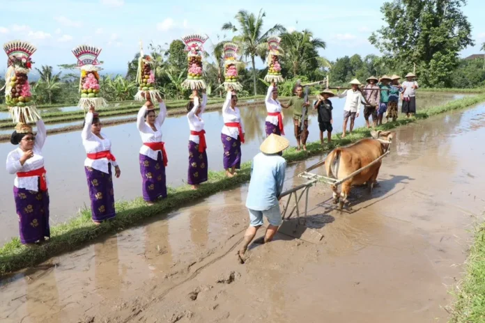 Pembangunan desa berkelanjutan