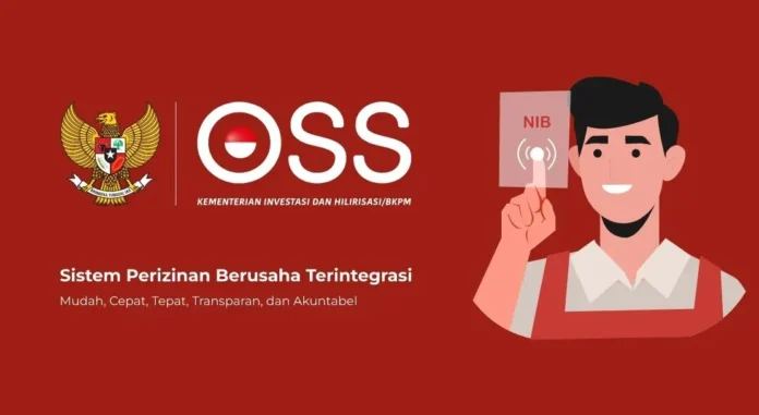 Online Single Submission (OSS)