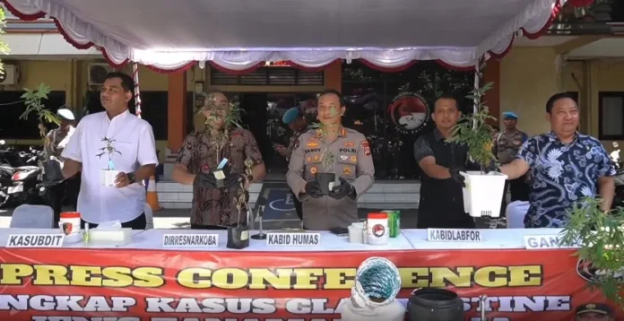 Penangkapan Petani Ganja