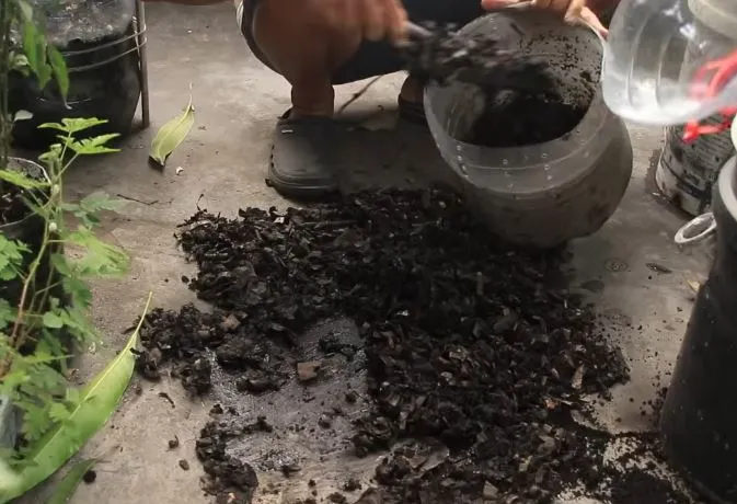 Cek Kadar air kompos