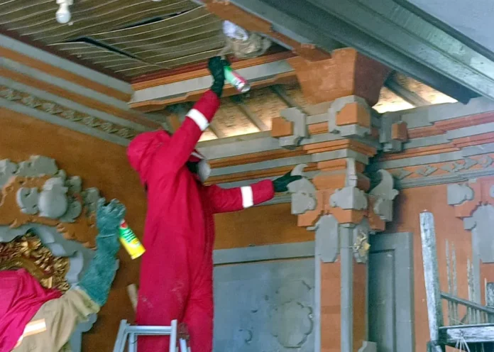 Evakuasi sarang tawon