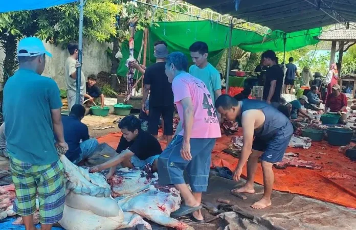 Ngejot daging kurban