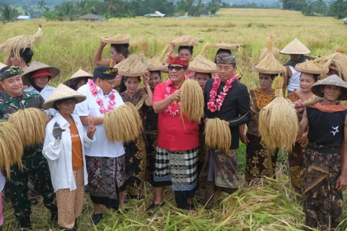Festival Jatiluwih