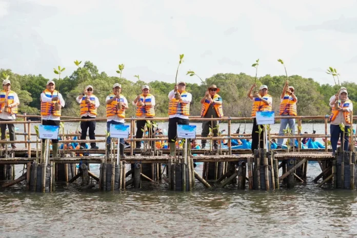 Penanaman Mangrove