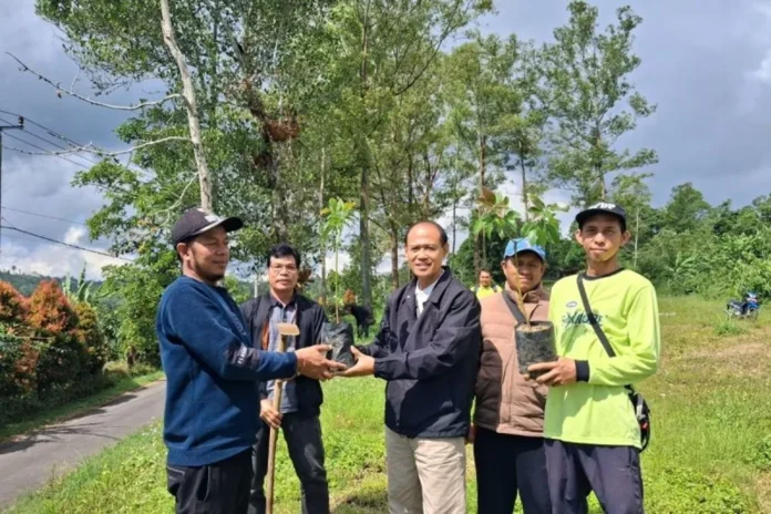 Reforestasi Desa