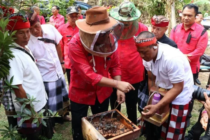madu klanceng