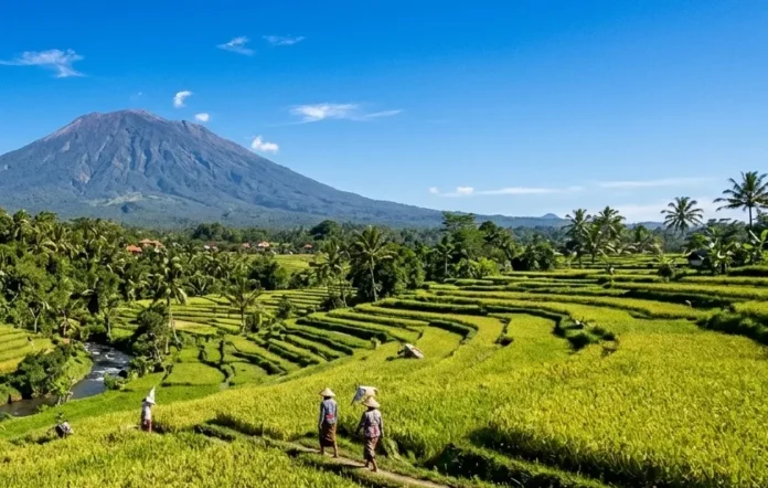 Cuaca cerah