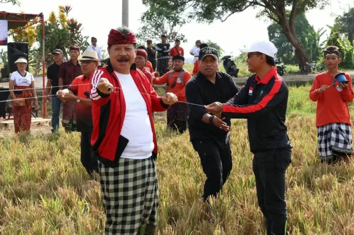 lomba layang-layang
